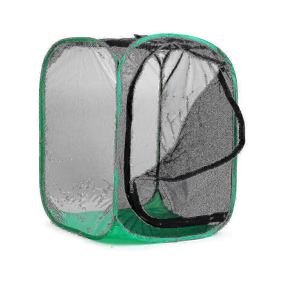 Tall Large Butterfly Habitat Cage Collapsible Terrarium Pop-up Lnches , Insect And Butterfly Net For Raising Inserts