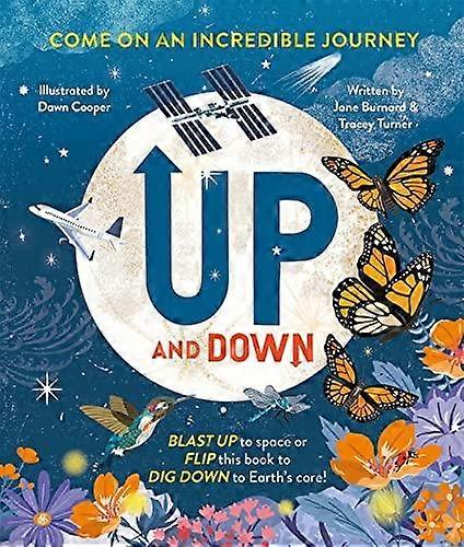 Up And Down - Jane Burnard