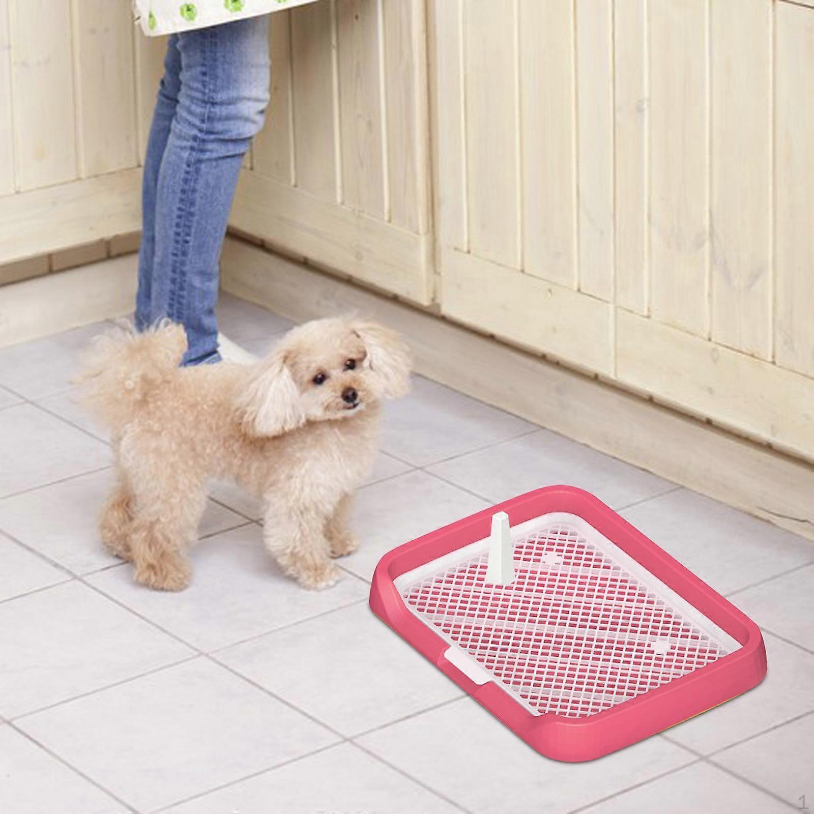 Dog Pet Potty Tray Mesh Panel Can Be Remove Training for Small and Medium Dogs