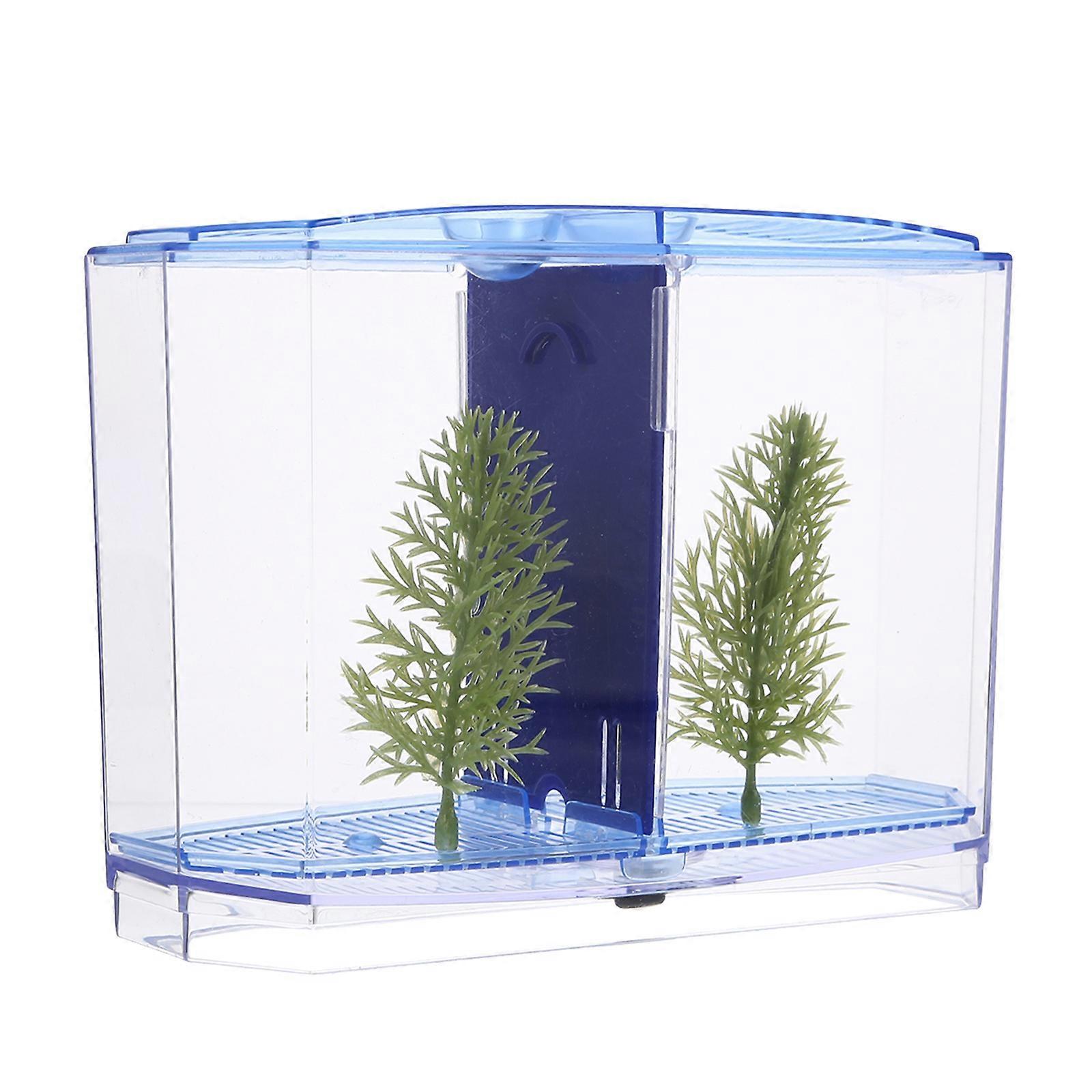 Blue Plastic Mini Fish Tank Breeding Box for Home Fish Storage