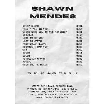 Shawn Mendes Album Quittung Stressabbau-Puzzle ZA1155