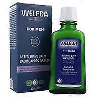 Shaving balm 100 ml
