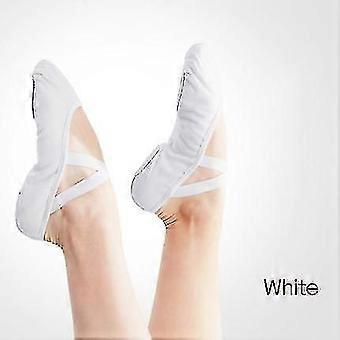 Vrouwen Ballet Schoenen Dans Volwassen Kinderen Ballet Slippers Zachte Zool Professionele Canvas Dans Training Schoenen Voor Ballet