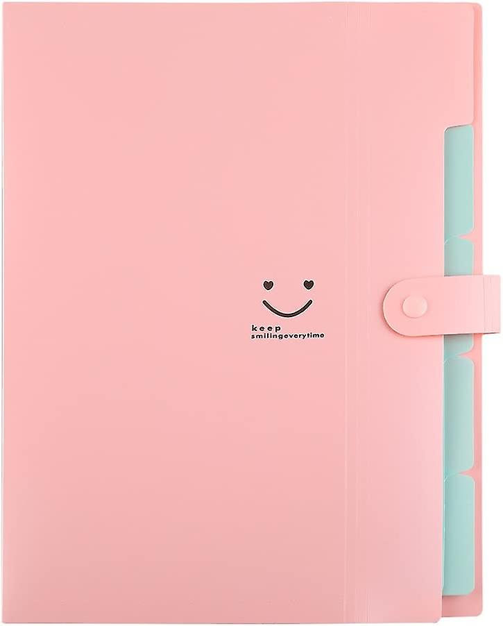 Cartella espandibile con 5 tasche, file manager a fisarmonica formato lettera A4 in plastica