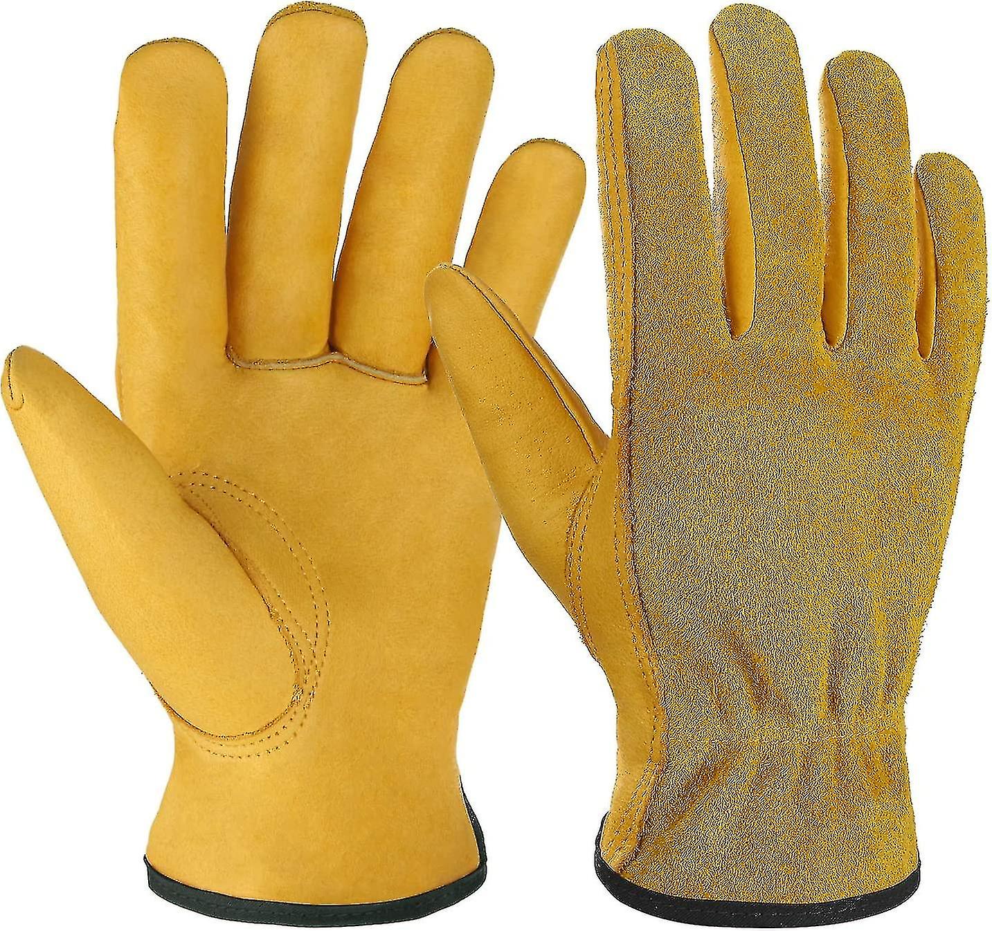 Gs Ening Gs Suitable For Cutting