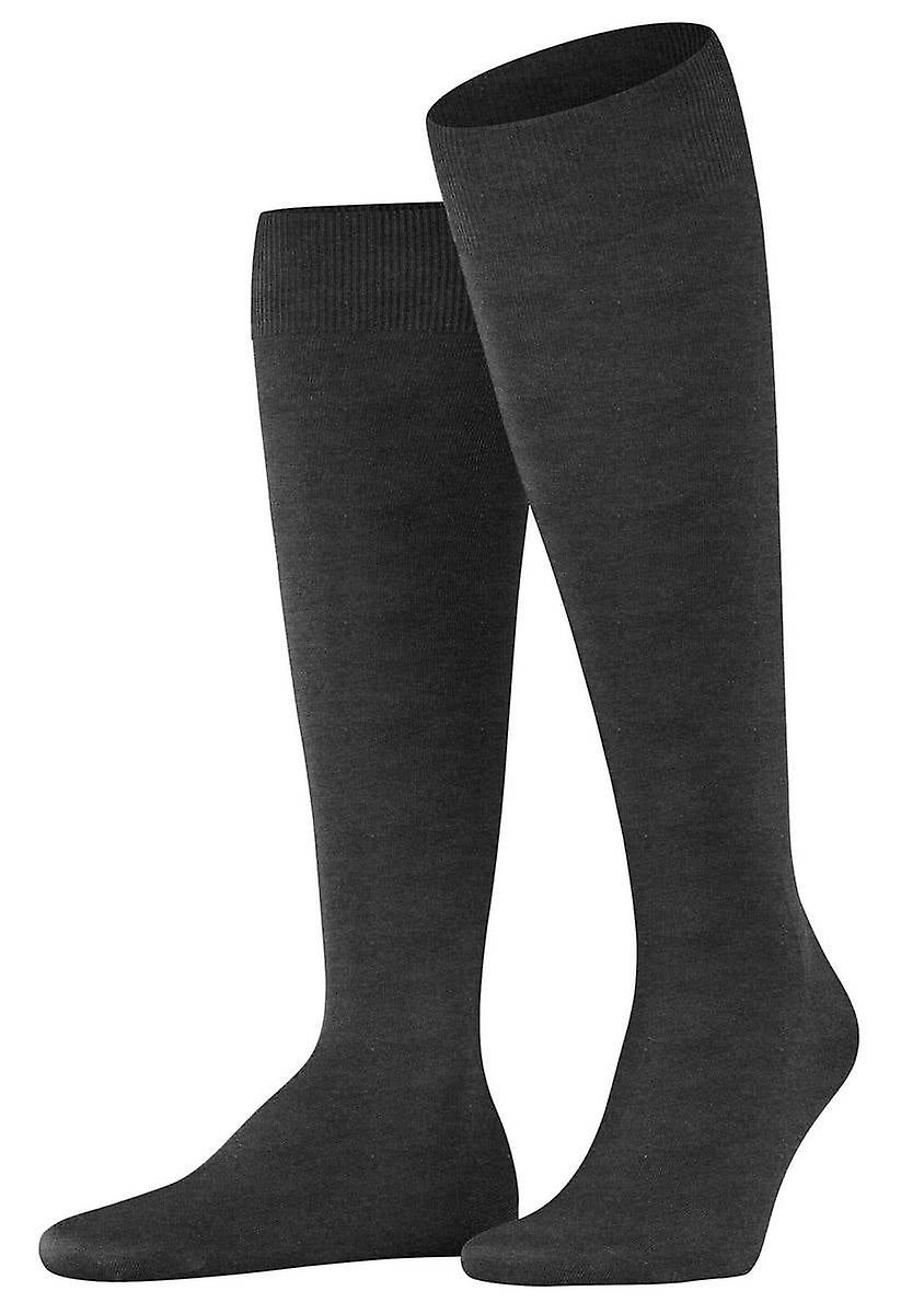 Falke Climawool Knee High Socks - Anthra Mel Grey