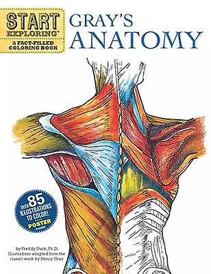 Start Exploring Grays Anatomy by Freddy Stark Paperback Book