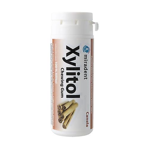 Xylitol Cinnamon Flavored Chewing Gum 30 g (Cinnamon)