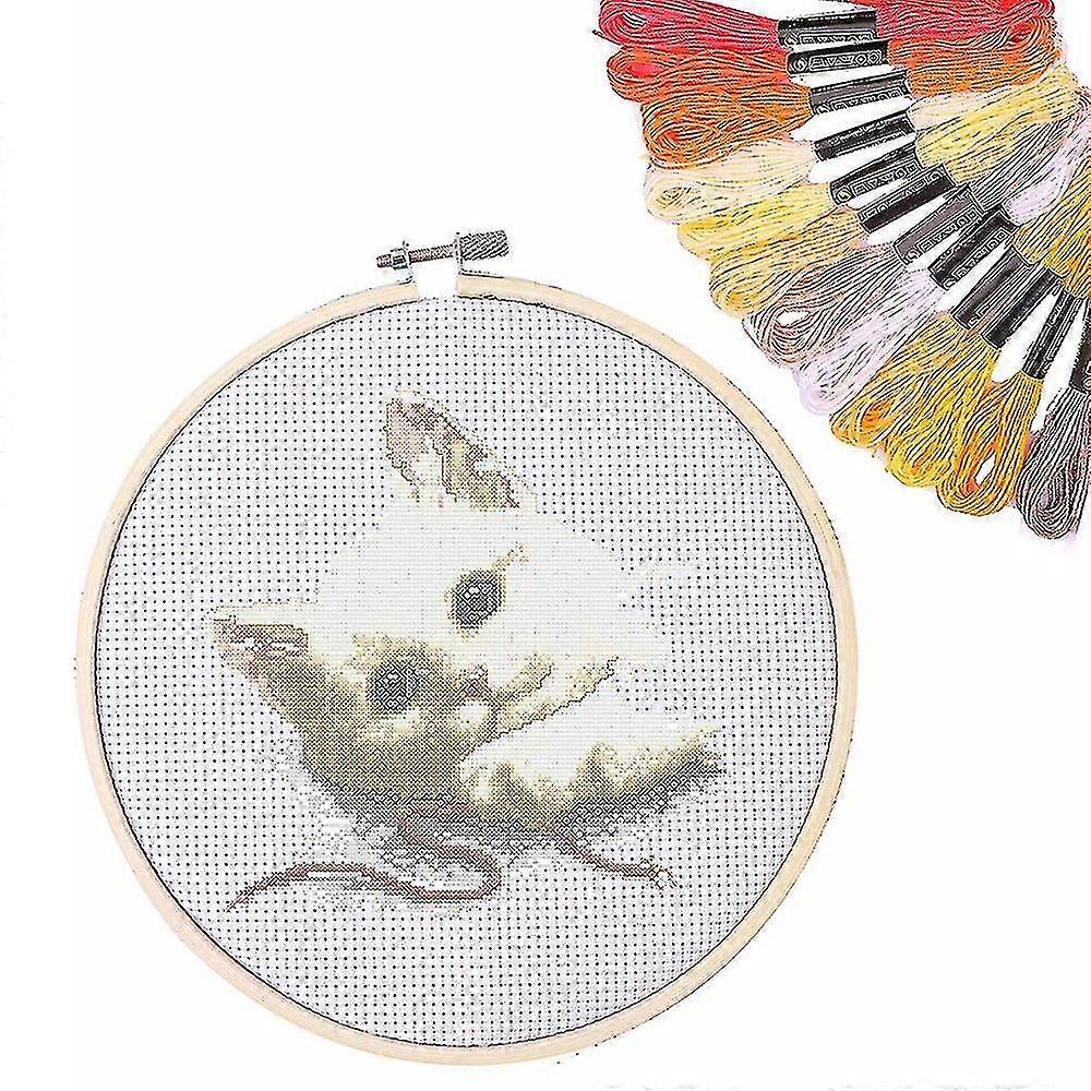 Hand Embroidery Kit With 100 Colors Threads,40 Pins,3 Pieces Cloth