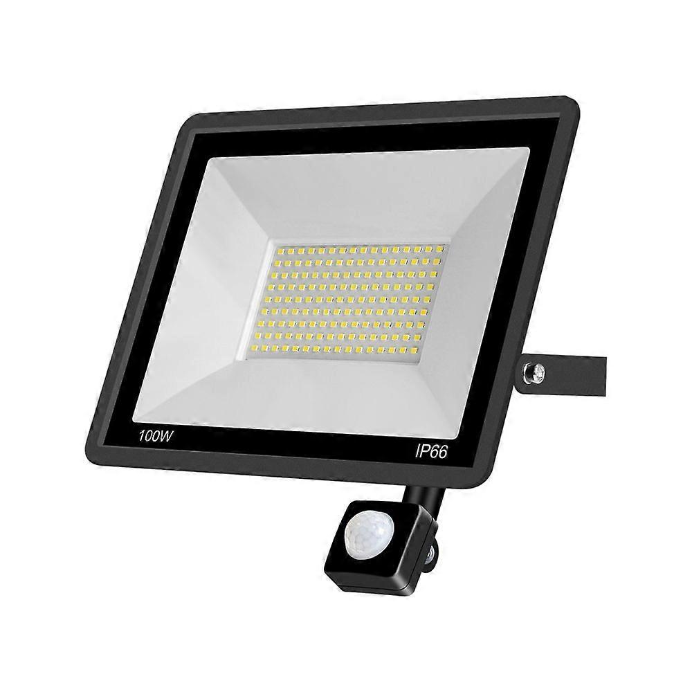 Induction floodlight 30W