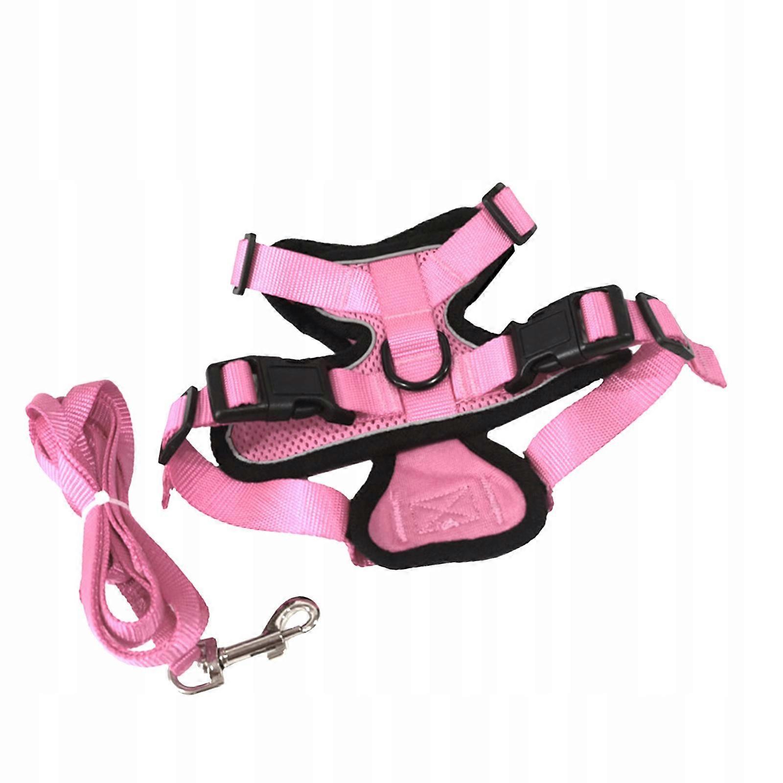 Set Of Harnesses And Leashes For Cat For Walks. Harnesses For Cat And Small P