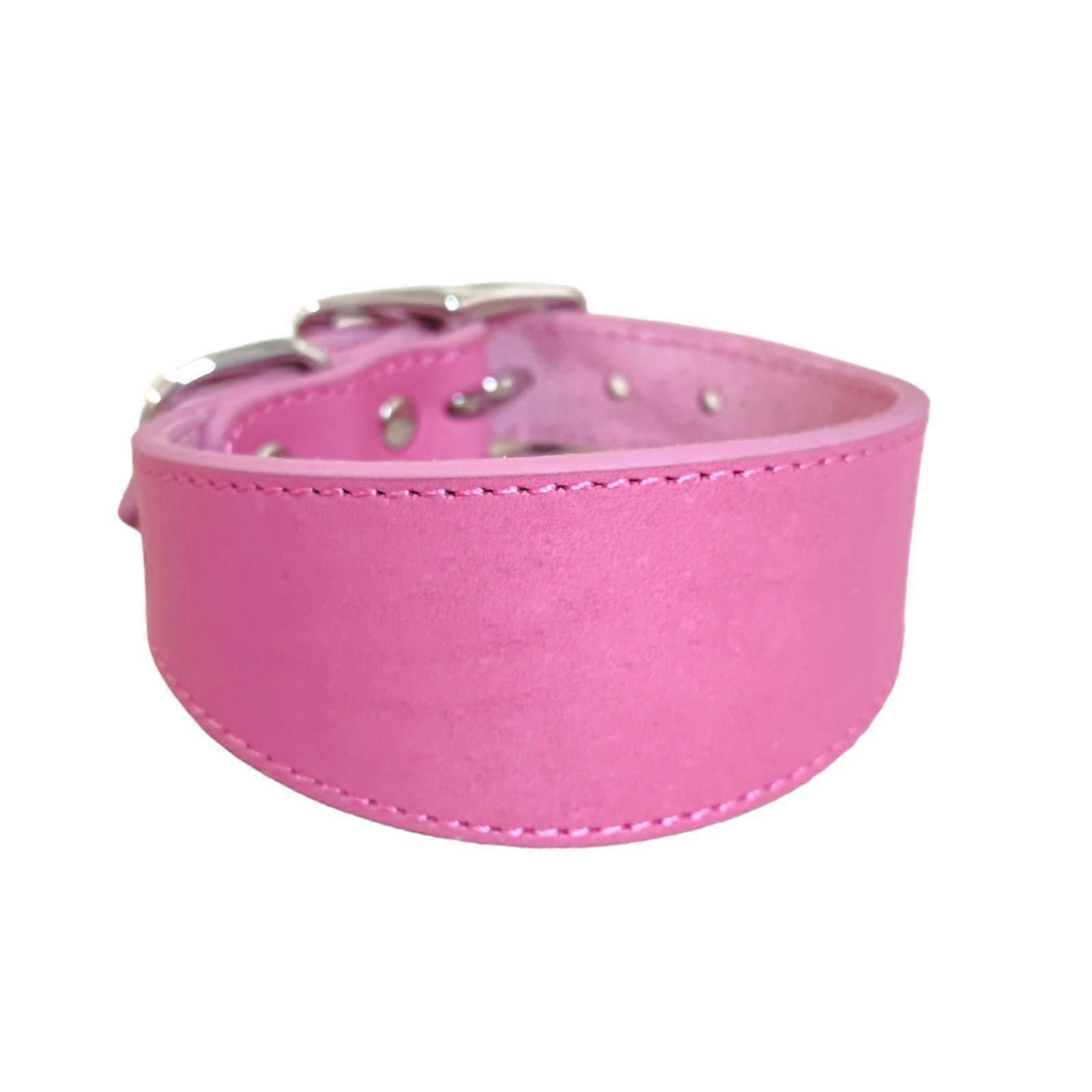 Soft Padded Adjustable Leather Dog Collar for Whippets, Salukis, Greyhounds, and Large Dog Breeds – Dog Accessories.