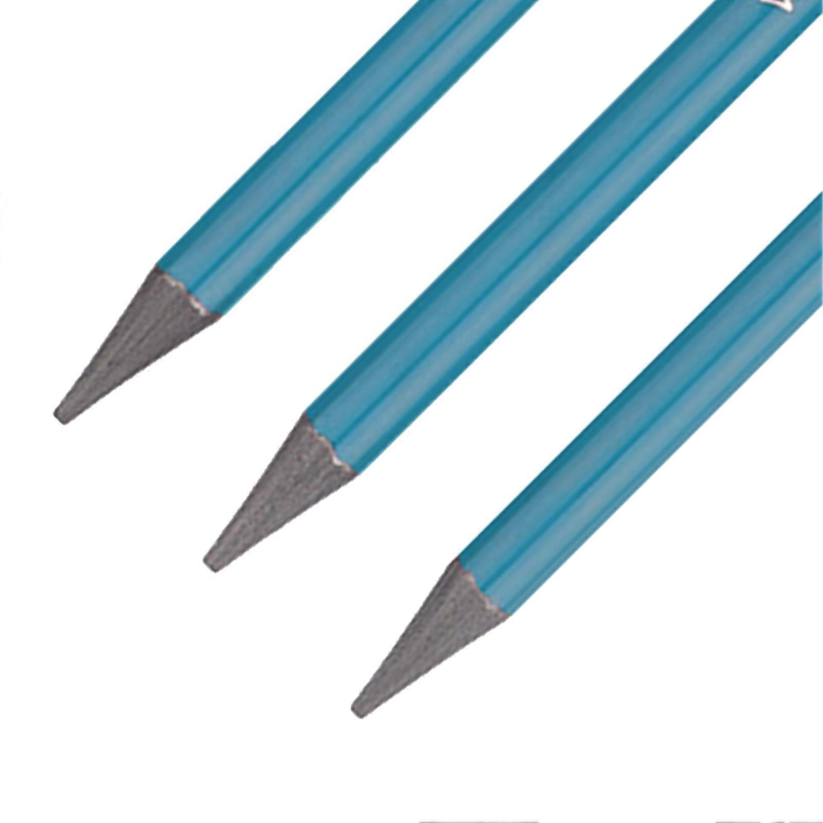 6 PCS Graphite Pencil Set HB 2B 4B 6B 8B EE Professional Woodless Graphite Pencils for Drawing Sketching Shading Blue