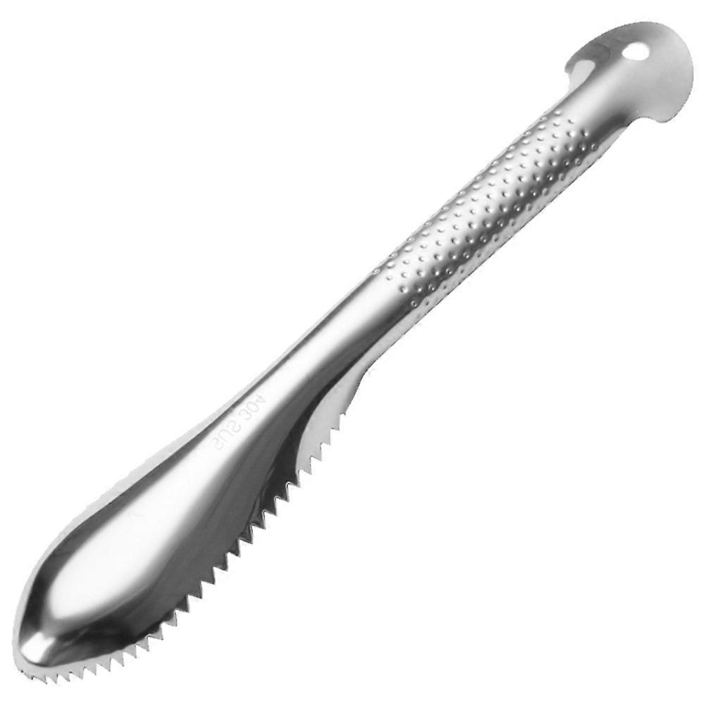 Stainless Steel Fish Scaler with Sharp for Efficient Cleaning and Comfortable Grip 7 Inch