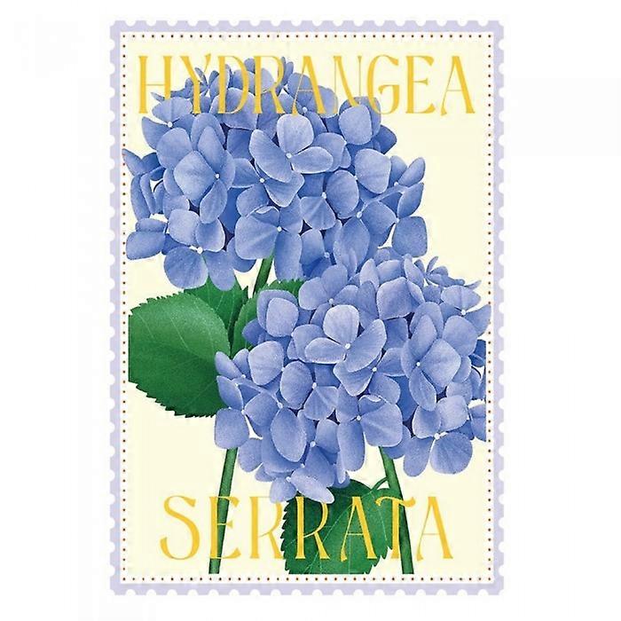 Tall Boy Prints Hydrangea Serrata Print