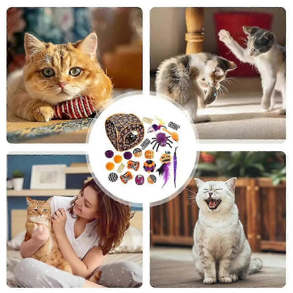Interactive Toys for Cats Mouse Toy Cat Accessories for Pet Exercise Beneficial Cute Cat Playing Toys for Puppy 22PCS