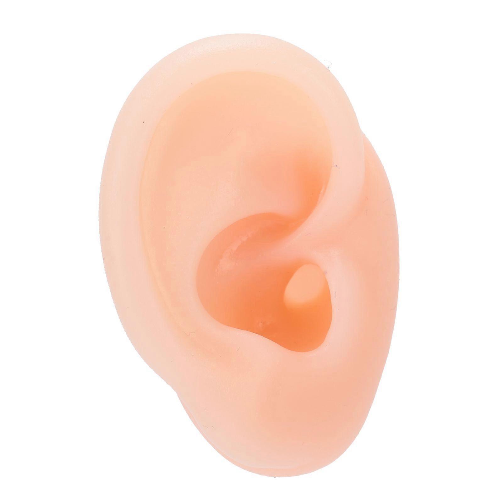 Silicone Ear Model Simulation Artificial Human Right Ear Display Model for Hearing Aid Wearing