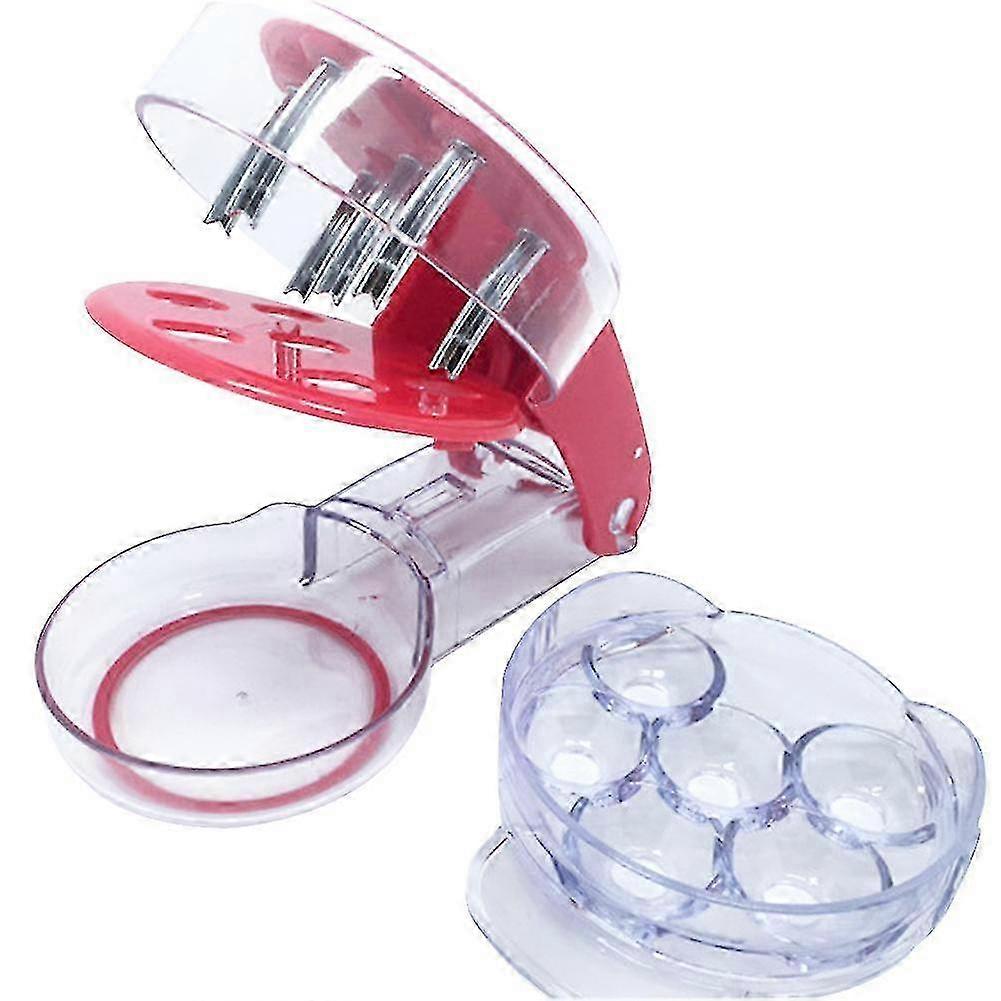 Cherry Pitter, Handheld Durable Kitchen Tool for Jujube Cherry Fruit Pit Removal