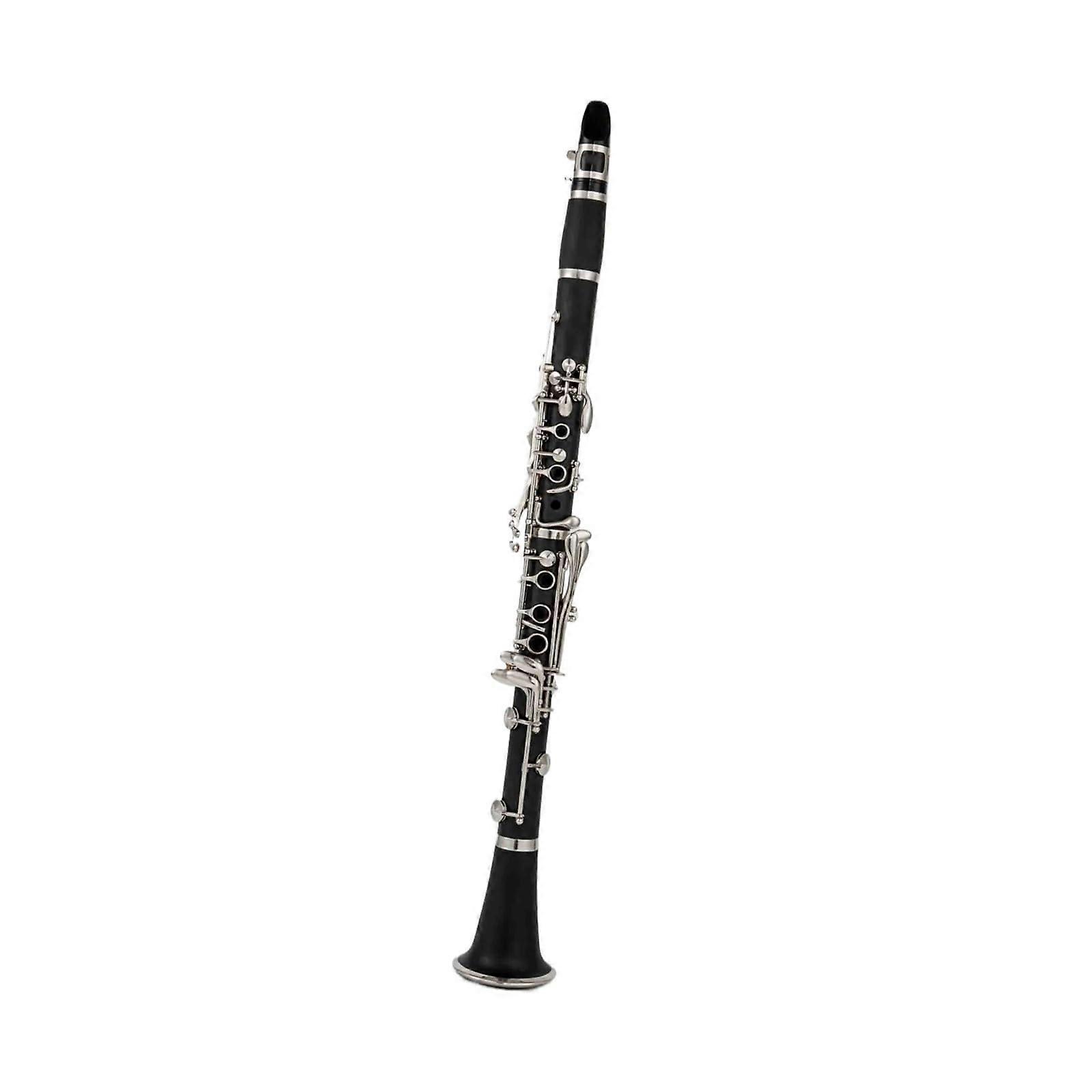 Professional B Flat Clarinet with Case and Accessories, Accurate Intonation, Smooth Key Action