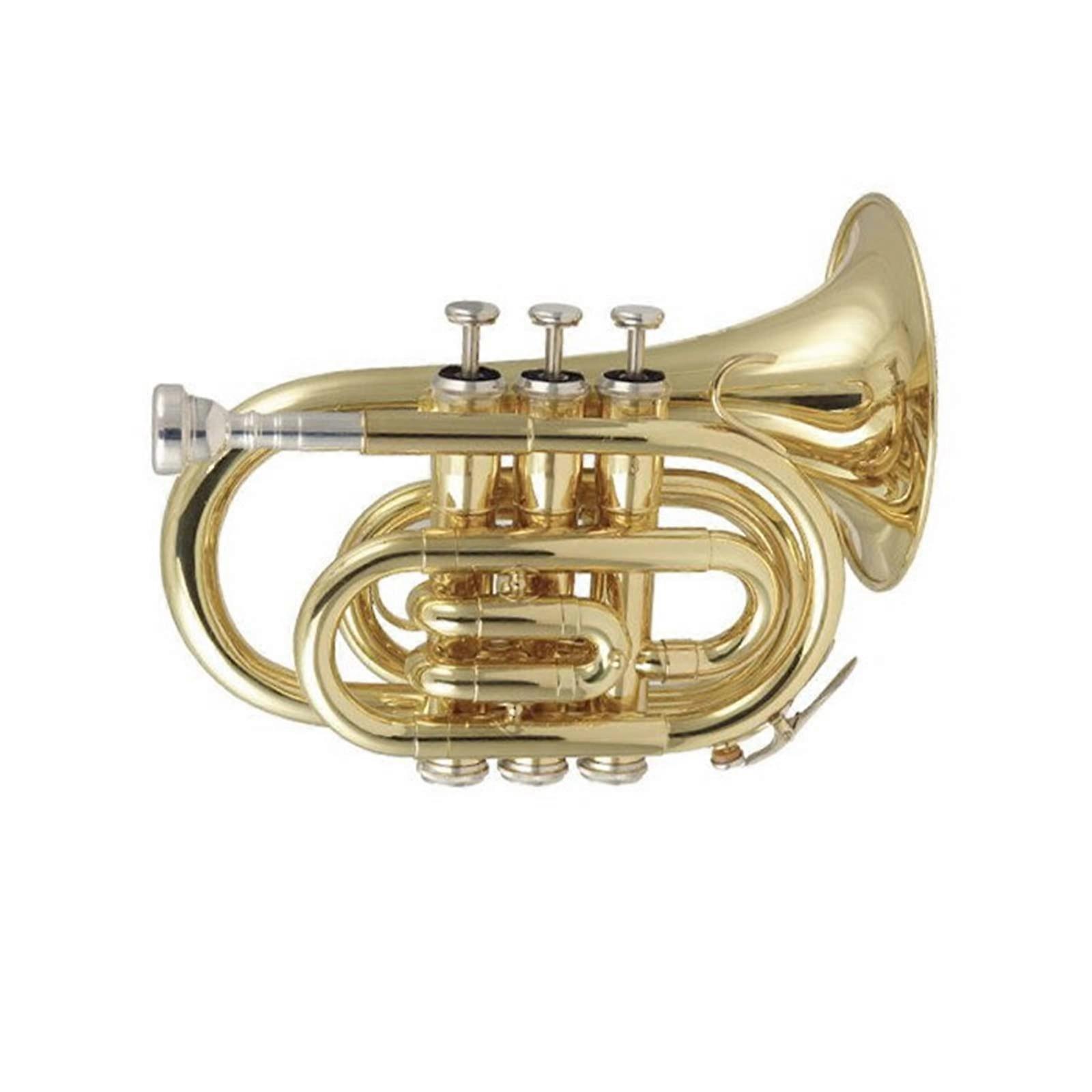 Mini Trumpet B Key Compact Palm Size BeginnerFriendly for Practice and Teaching