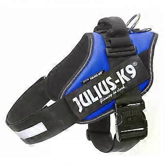 IDC Powerharness Blue