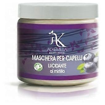 Blueberry Shine Hair Mask 200 ml of cream