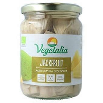 Organic Jackfruit 500 g