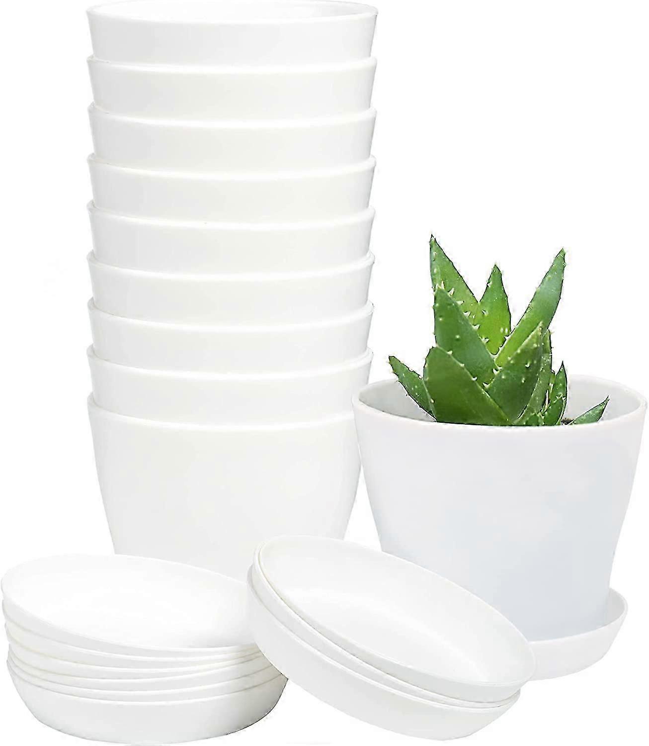 10Pcs Mini Seedlings Flower Pot with Pallet