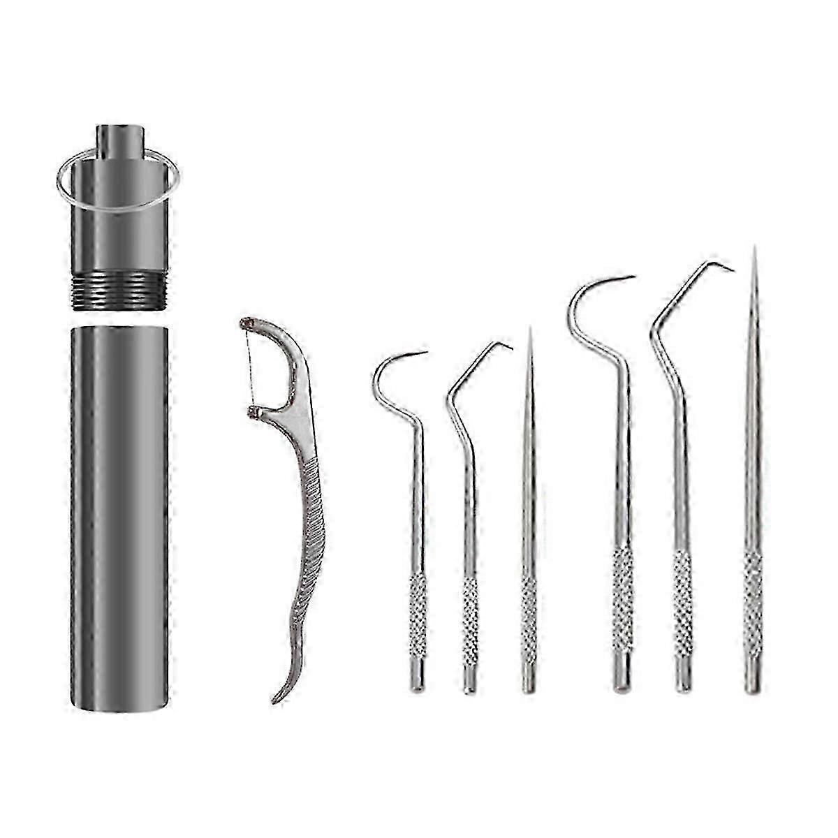 Teeth cleaner flossing set reusable metal toothpicks