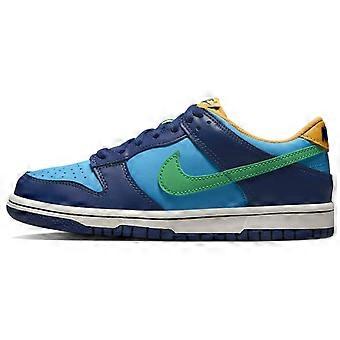 Nike Dunk Low All-Star 2023 GS DV1693-401