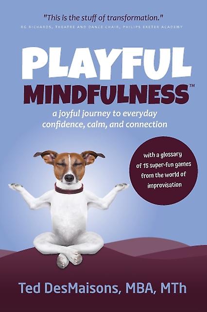 Playful Mindfulness - Ted Desmaisons - Self-help, personal development and practical advice - Anima Learning - Paperback