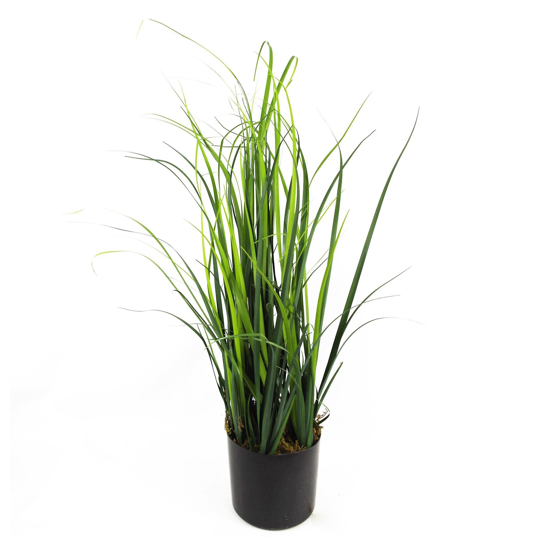 60cm Artificial Lemongrass Grass Plant