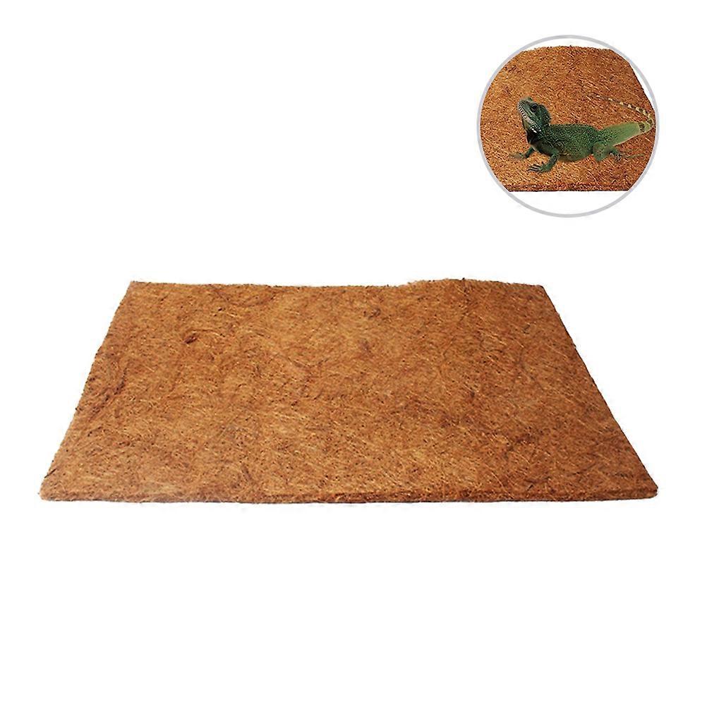 Coconut Material Bedding for Reptiles, Ensures Cleanliness and Comfort