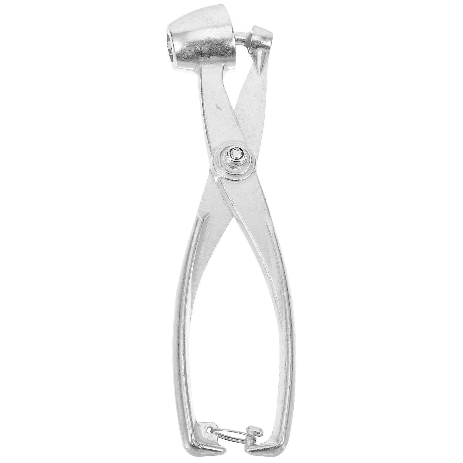 Portable Cherry and Olive Pitter, Simplifies Fruit Preparation Tasks