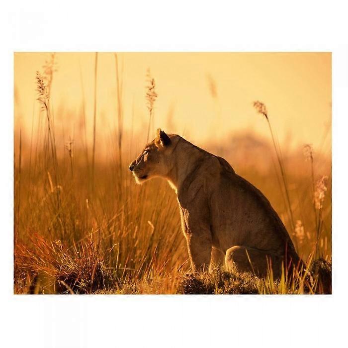 Mario Moreno Sunset Stalking Print