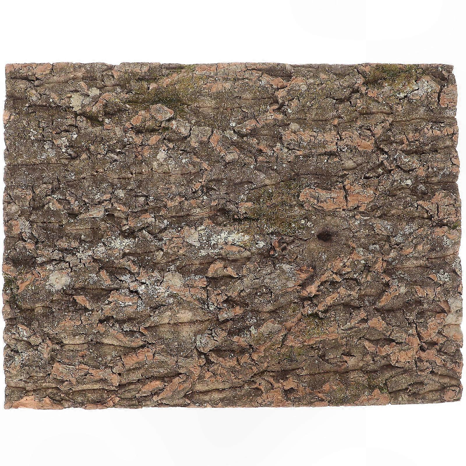 Natural Cork Wood Bark for Reptile Terrarium Decor, Climbing Platform and Tank Background, 1 Set