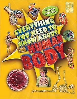 Everything You Need To Know About The Human Body