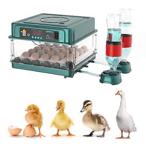 Automatic Digital Egg Incubator with Turner, Climate Control, 64 and 24 Egg Capacity for Poultry