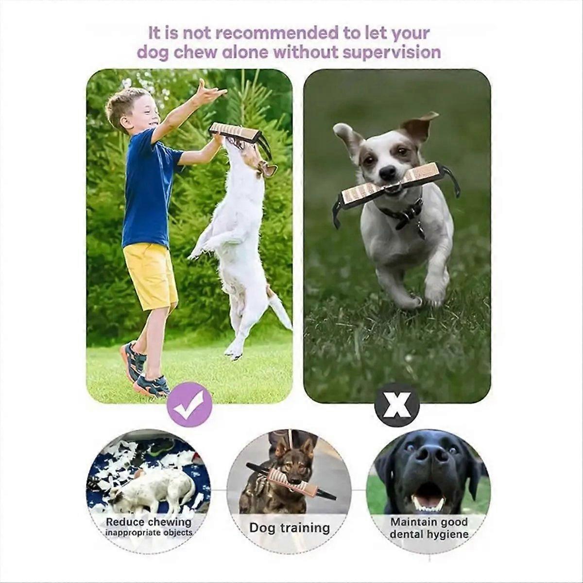 Interactive Tug Dog Toys Tough Interactive Dog Training Pull Tug Toy