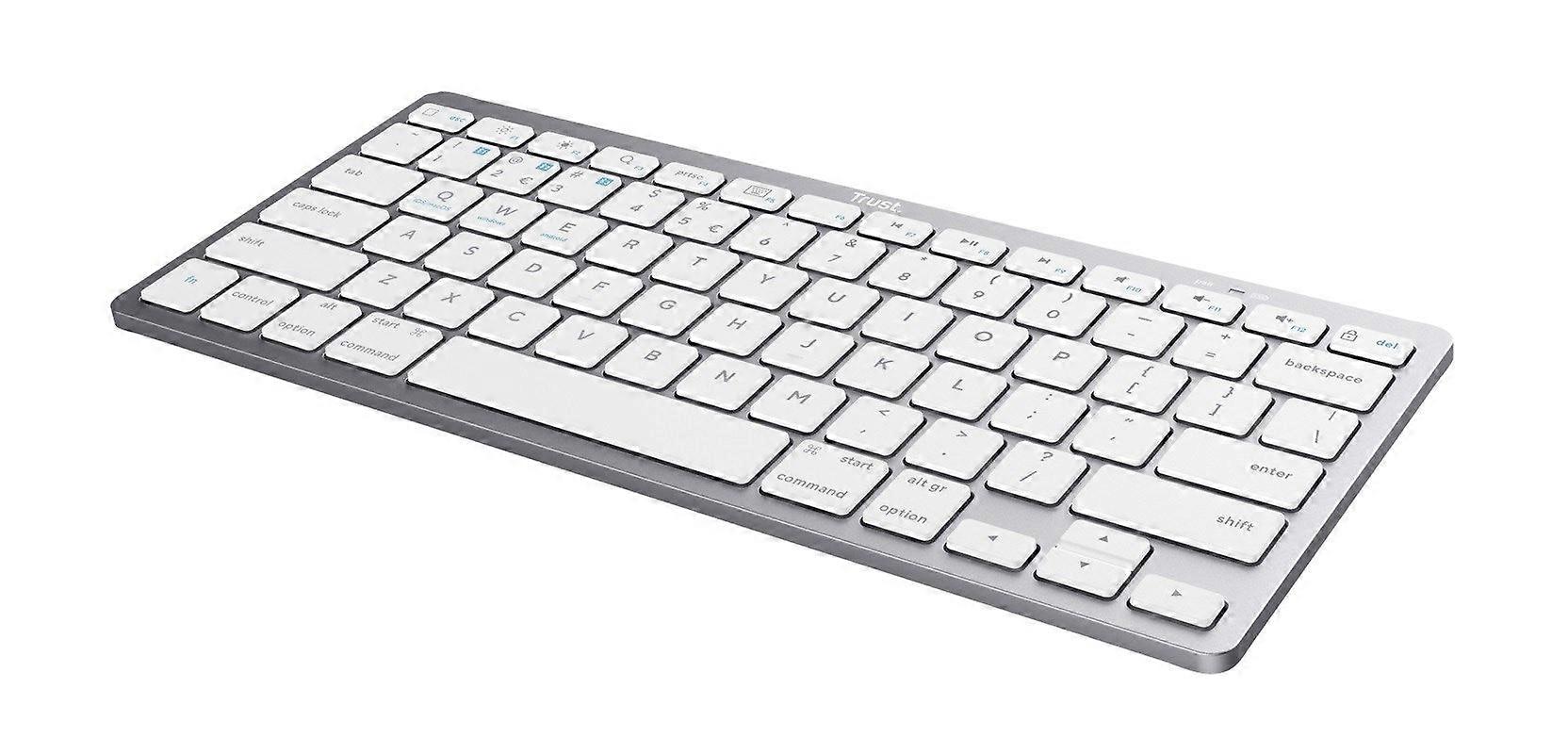 Trust Basic est un clavier sans fil argent (24651)