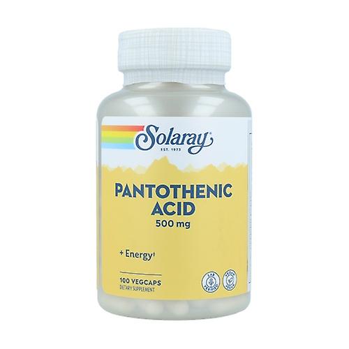 Pantothenic acid 100 capsules of 500mg