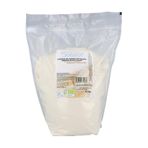Brown rice flour ECO 4000 g of powder