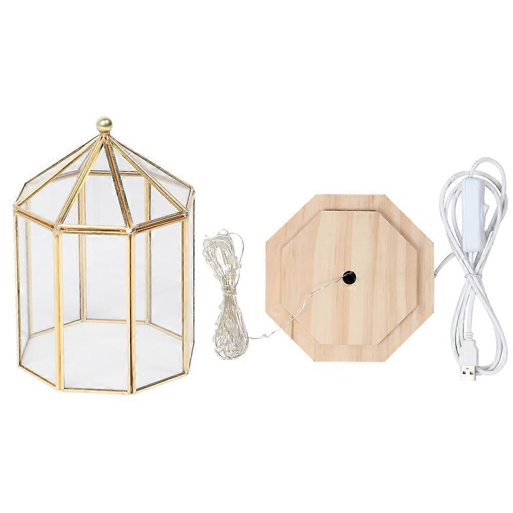 Geometric Shape Elegant Plants Glass Cover Succulent Plant Holder Home Garden Decoration