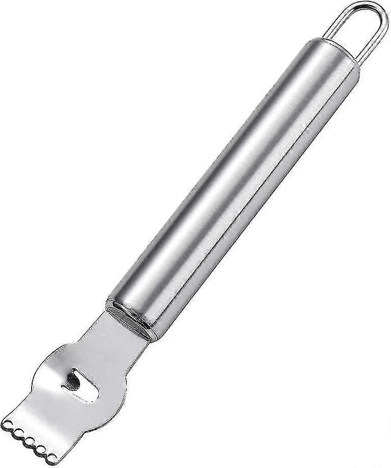 Lemon Grater Fruit Grater Tool Grater (silver) (1pcs)