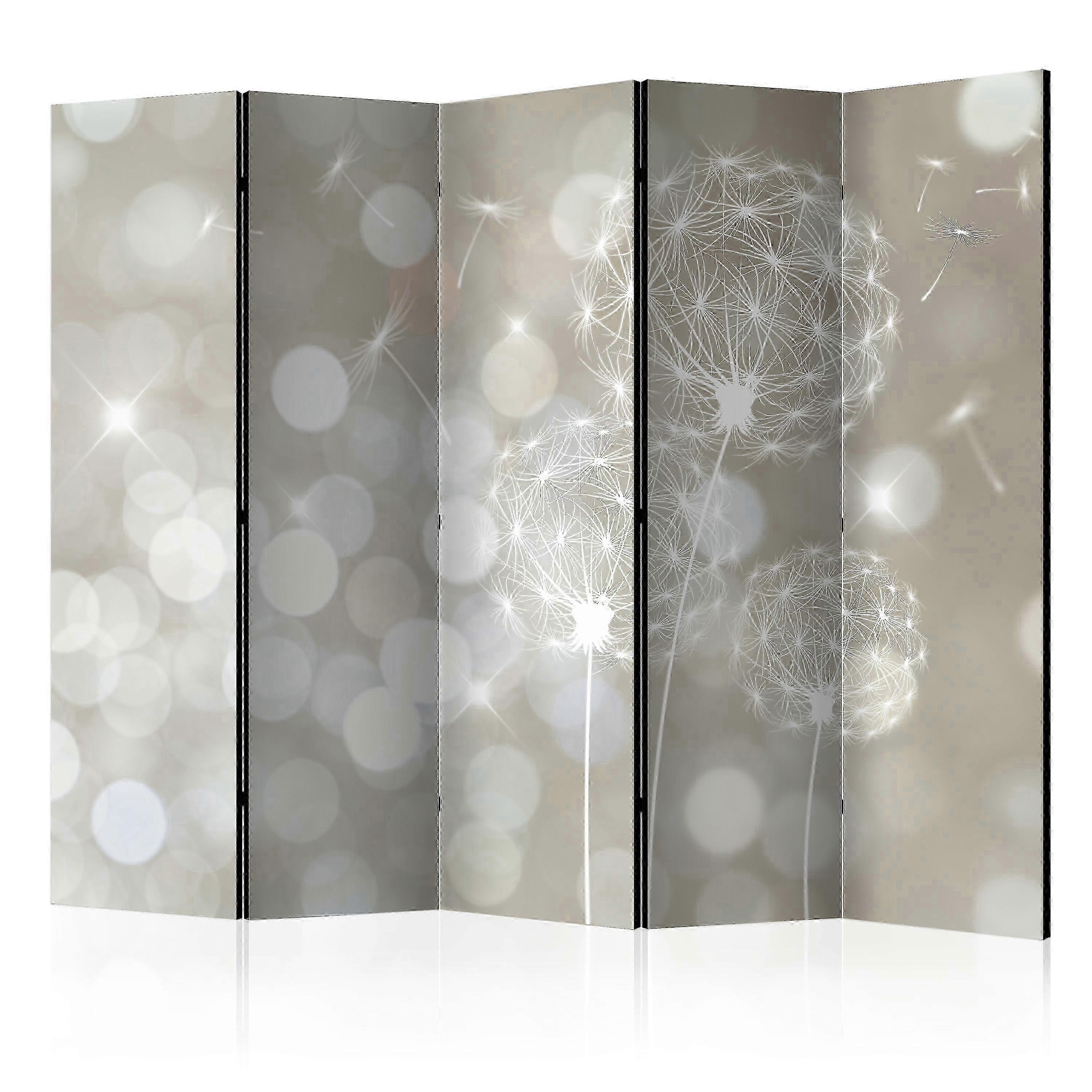 Separator de cameră - Balada frumuseții II