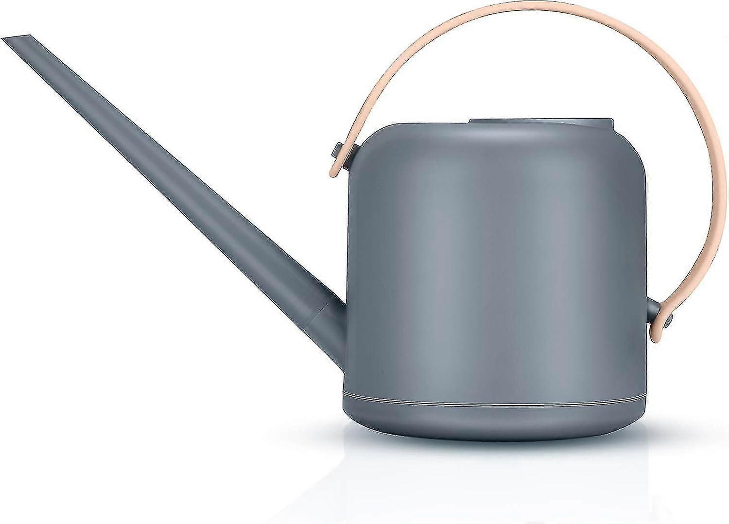 JiaWei Bonsai Watering Can Pot, Removable Long Spout Watering Can Small Watering Can Kettle for Indoor and 2X4