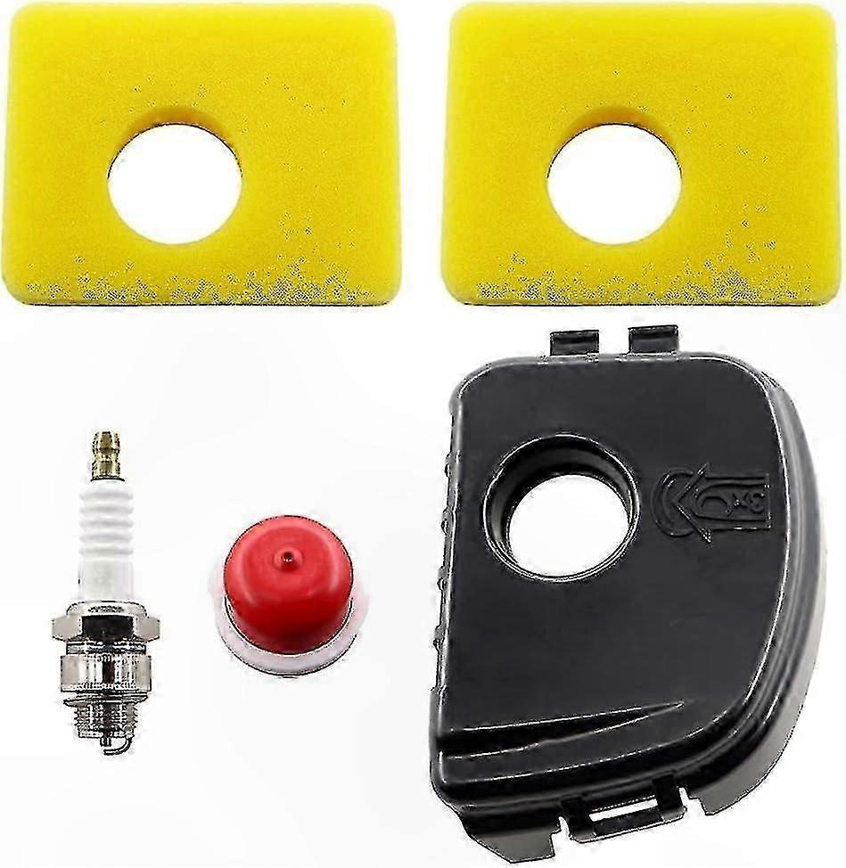 Air Filter Cover and Element for 300e 450e 550e Series Models 595660 594281 799579