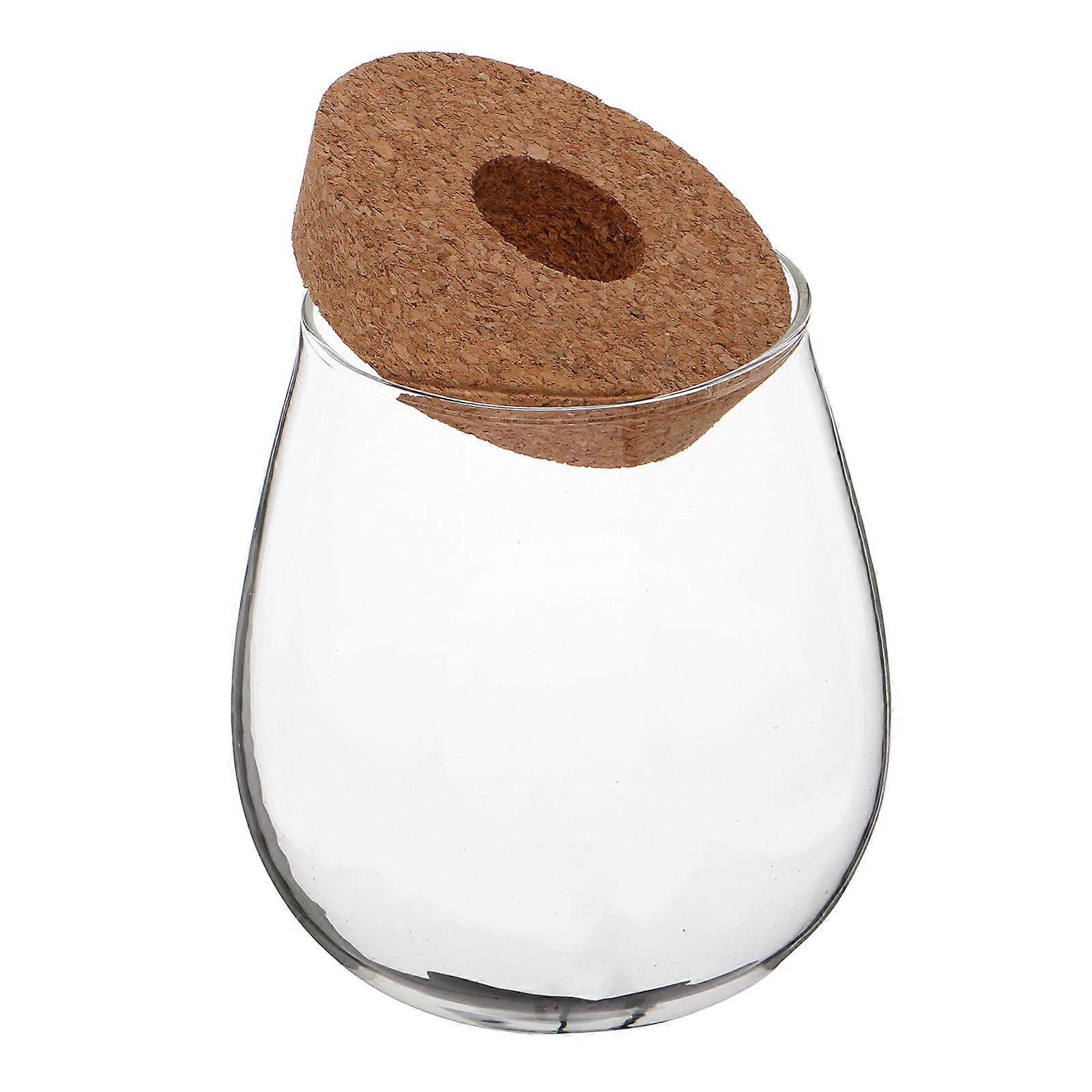 Glass Hydroponic Vase for Plants with Compact Design Desktop Planter