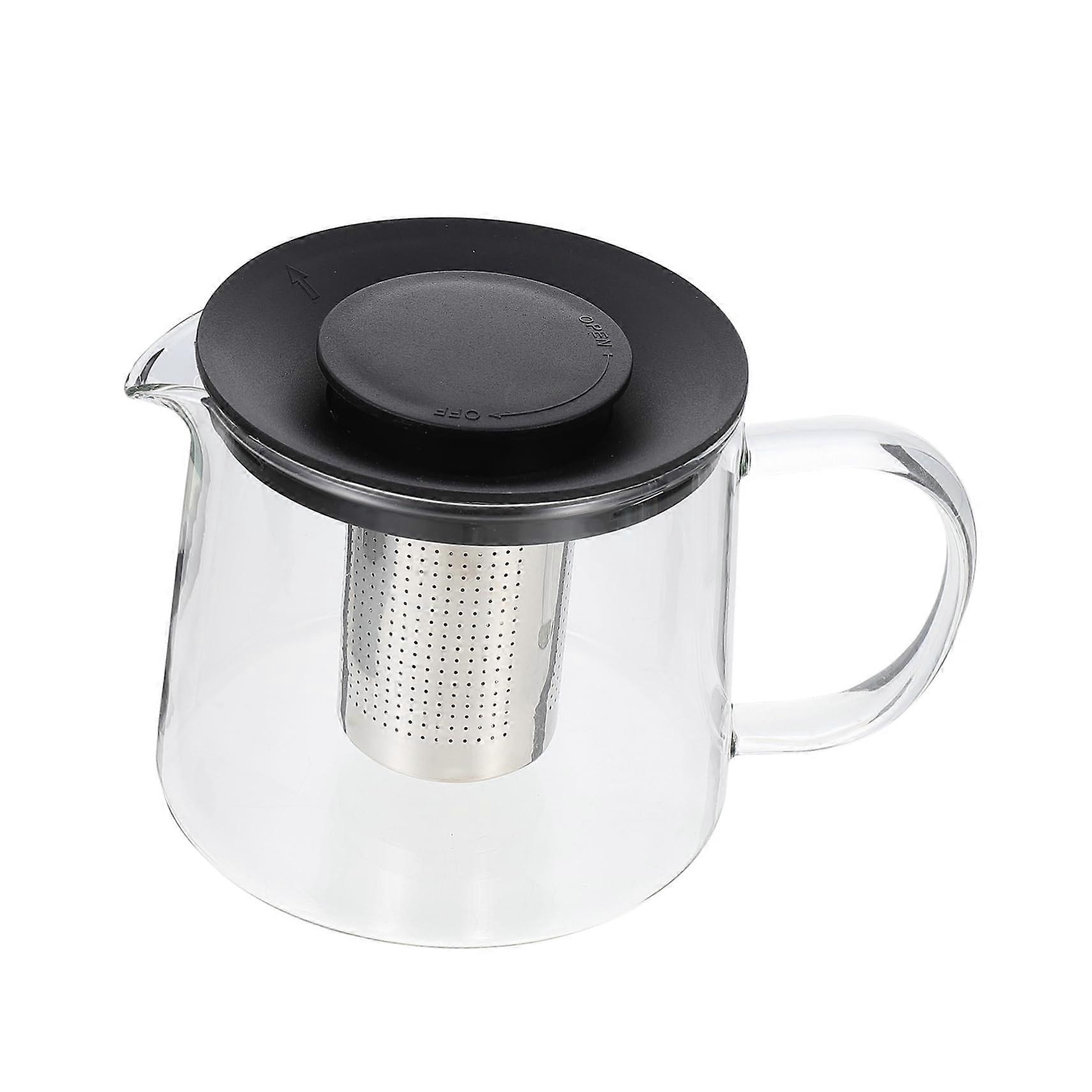 Glass Teapot with Removable Infuser, Borosilicate, Stovetop Safe for Loose Leaf Tea Brewing