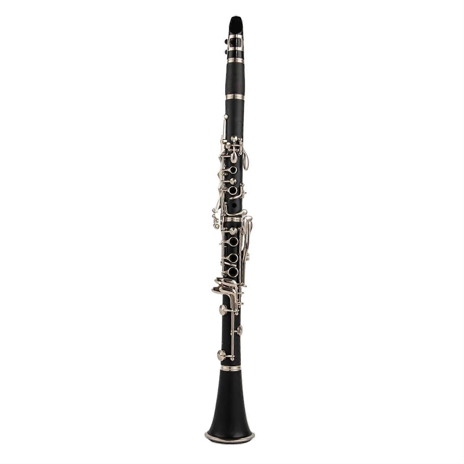 Professional B Flat Clarinet with Nickel Plated Keys, Case and Accessories